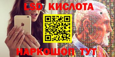 амф Новодвинск