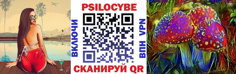 Галлюциногенные грибы Psilocybe  продажа наркотиков  Тобольск 
