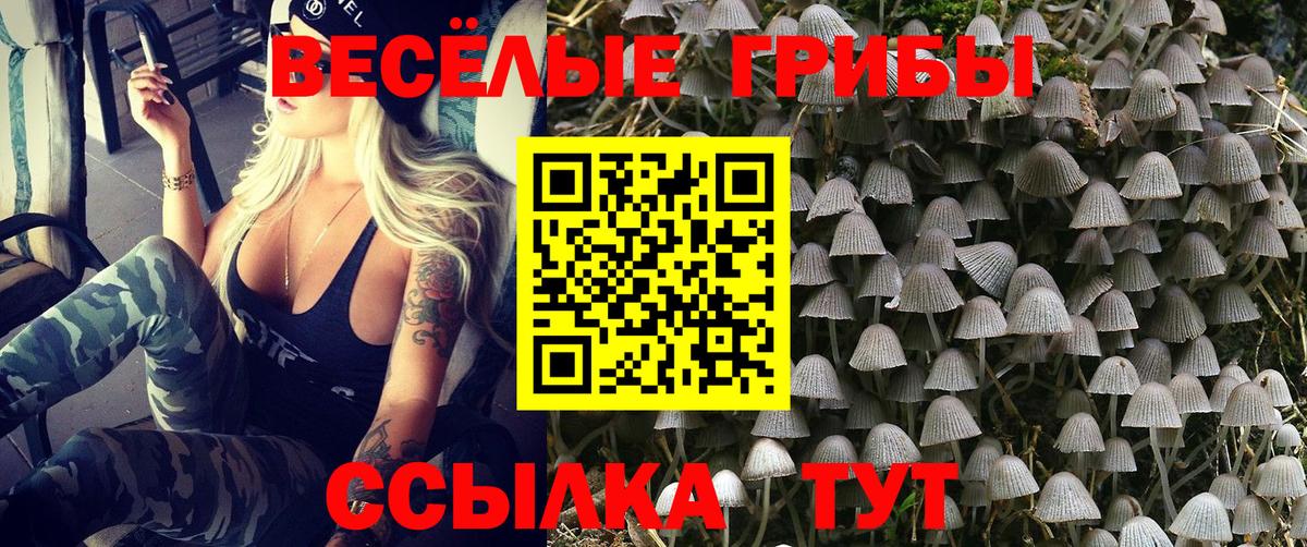 Псилоцибиновые грибы Psilocybe  Вход с VPN  Тобольск  Псилоцибиновые грибы прущие грибы 