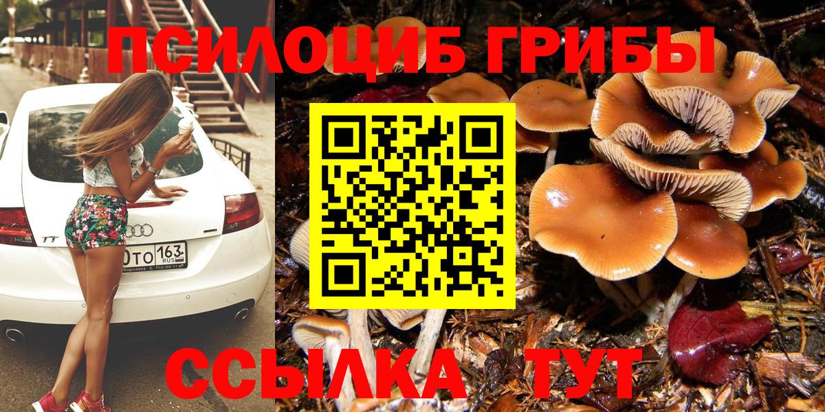 Галлюциногенные грибы GOLDEN TEACHER Тобольск